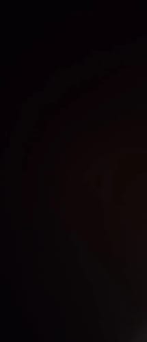 Customer photo review of BEVINSEE LED Headlight Bulbs