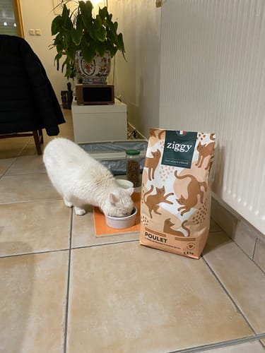 Avis photo d'un client sur Croquettes Chat Stérilisé Sans Céréales - Poulet