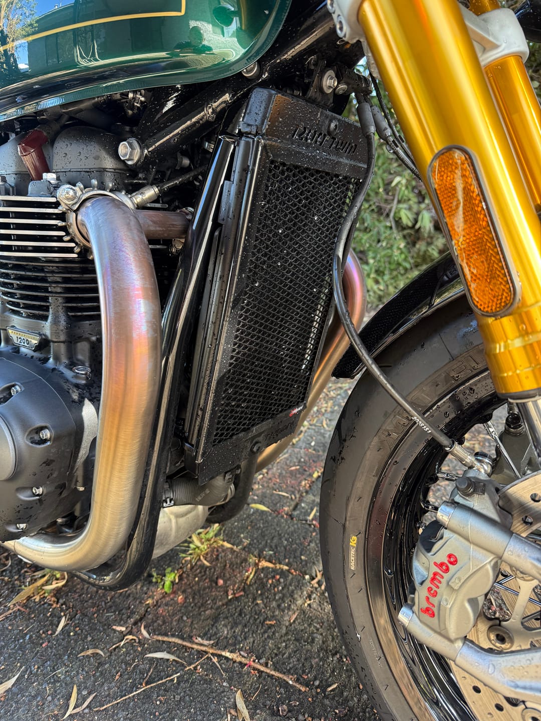 Customer photo review of Triumph Speed Twin 1200 Radiator Guard 2023-2024
