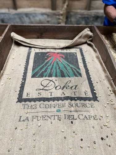 Customer photo review of Café Hacienda Doka Peaberry AA