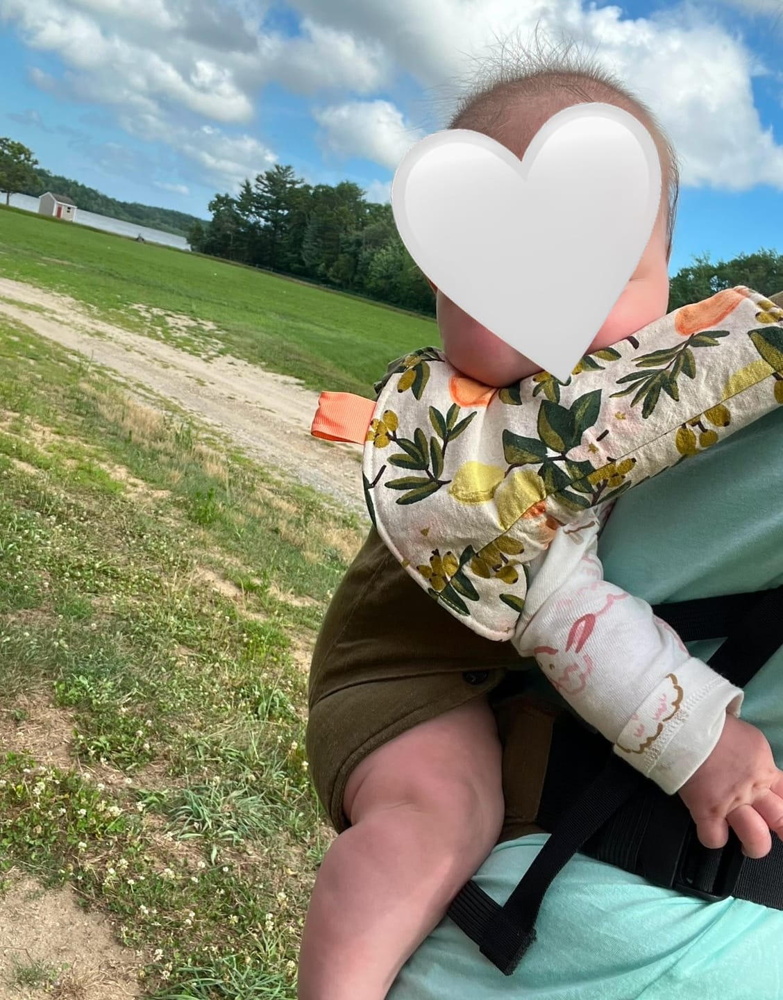Customer photo review of Happy Baby Revolution (forward facing option)