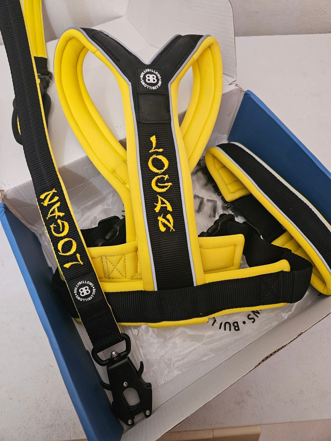 Customer photo review of Slip on Harness | Foam Padded - Black x Yellow