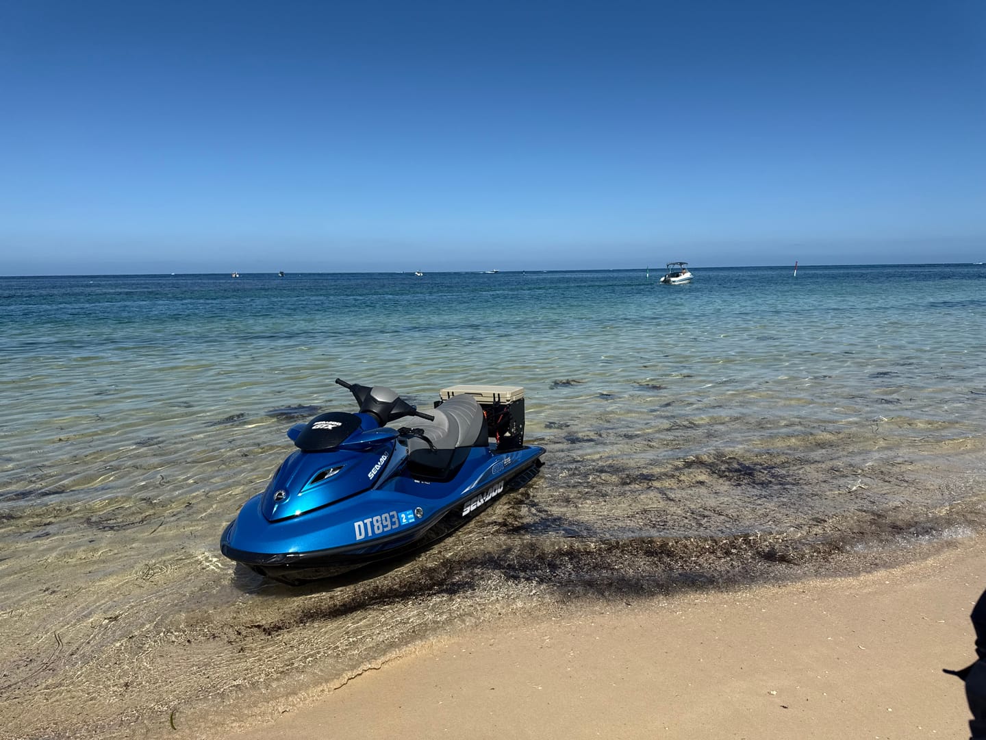 Customer photo review of JET TECH ADVENTURE FISH BOX