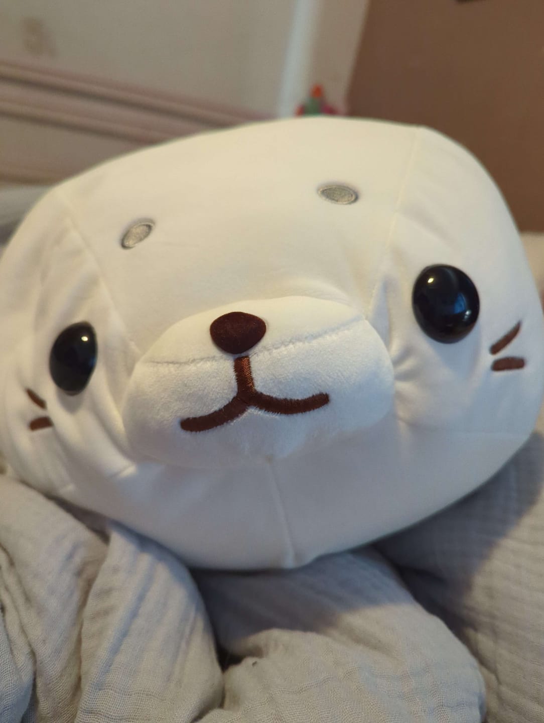 Customer photo review of Baby Seal Plush (2 SIZES)