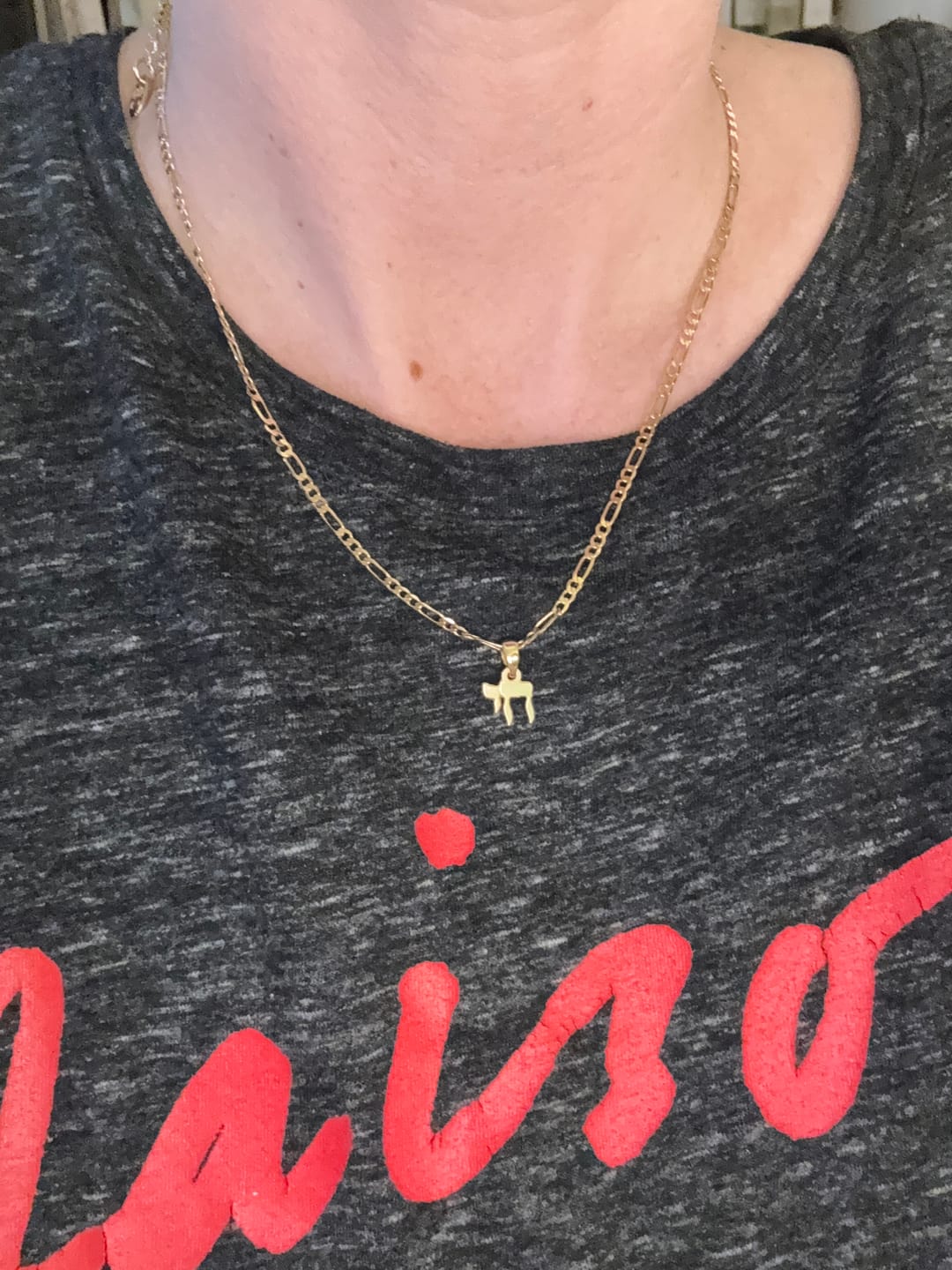 Customer photo review of Chai Chain Necklace