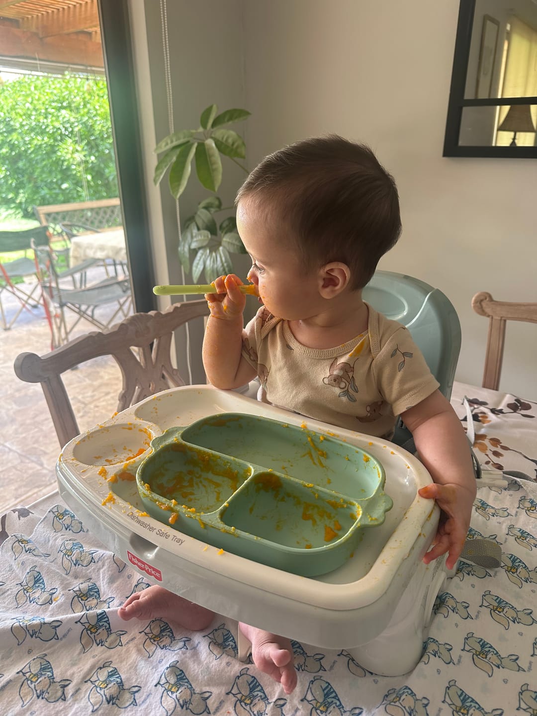 Customer photo review of Plato de silicona para bebé