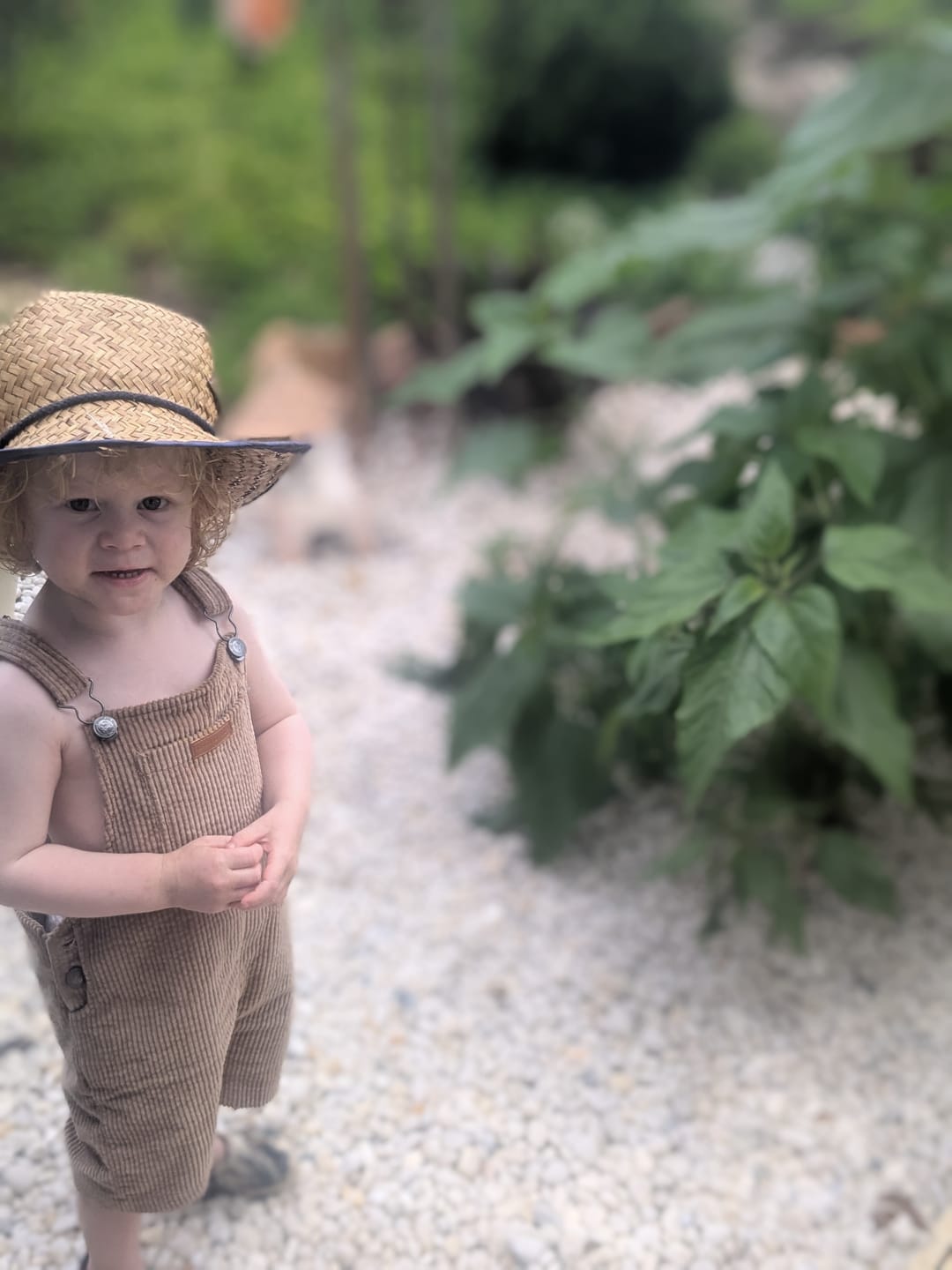 Customer photo review of Kids Organic Cotton Corduroy Short Overalls