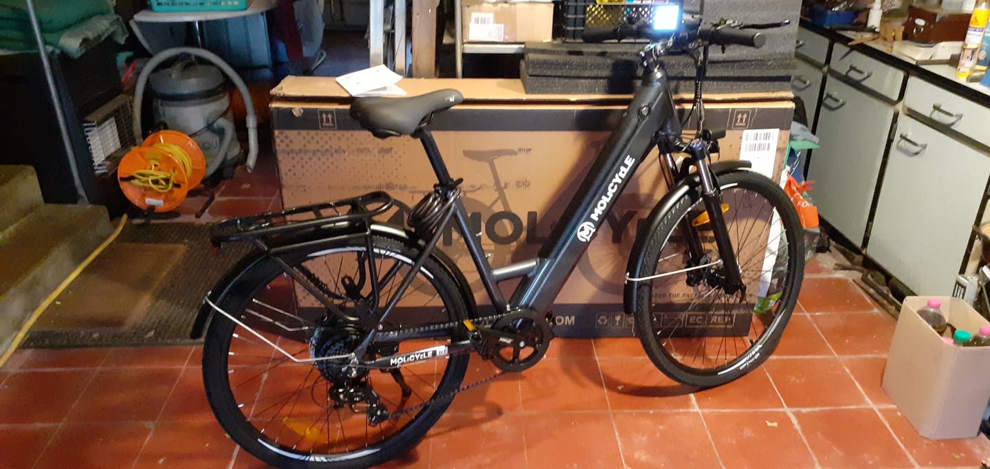 Customer photo review of Molicycle R1 250W 26" Electric Trekking Bike City E-bike 14.5Ah Support APP