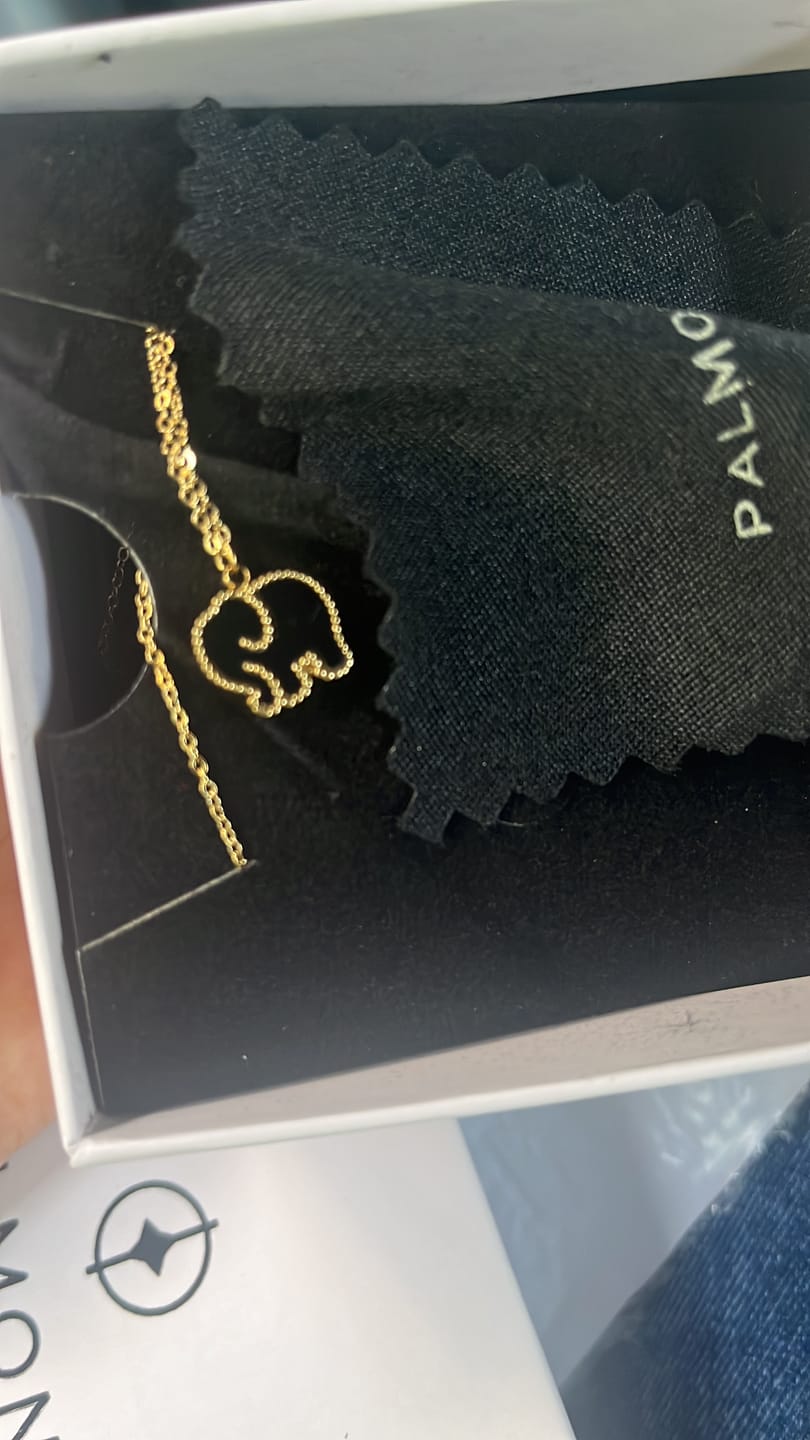 Customer photo review of Little Heffalump Necklace