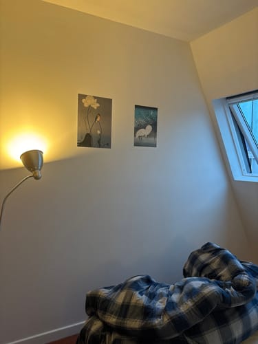 Customer photo review of Estampe Japonaise Aigrettes & Roseaux