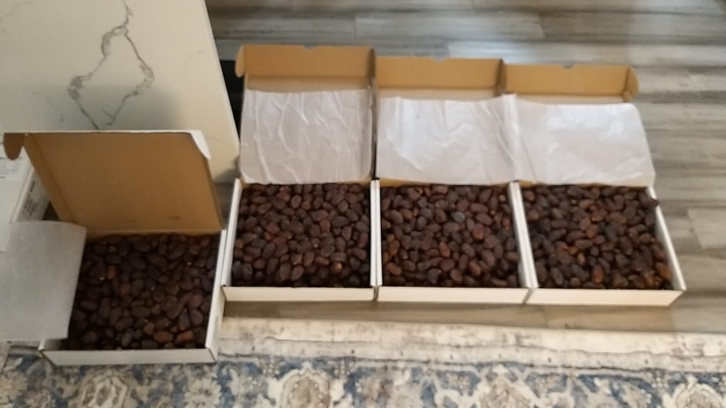 Customer photo review of Organic Mini Medjool Dates Box