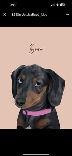 Customer photo review of Detailed Pet Portrait