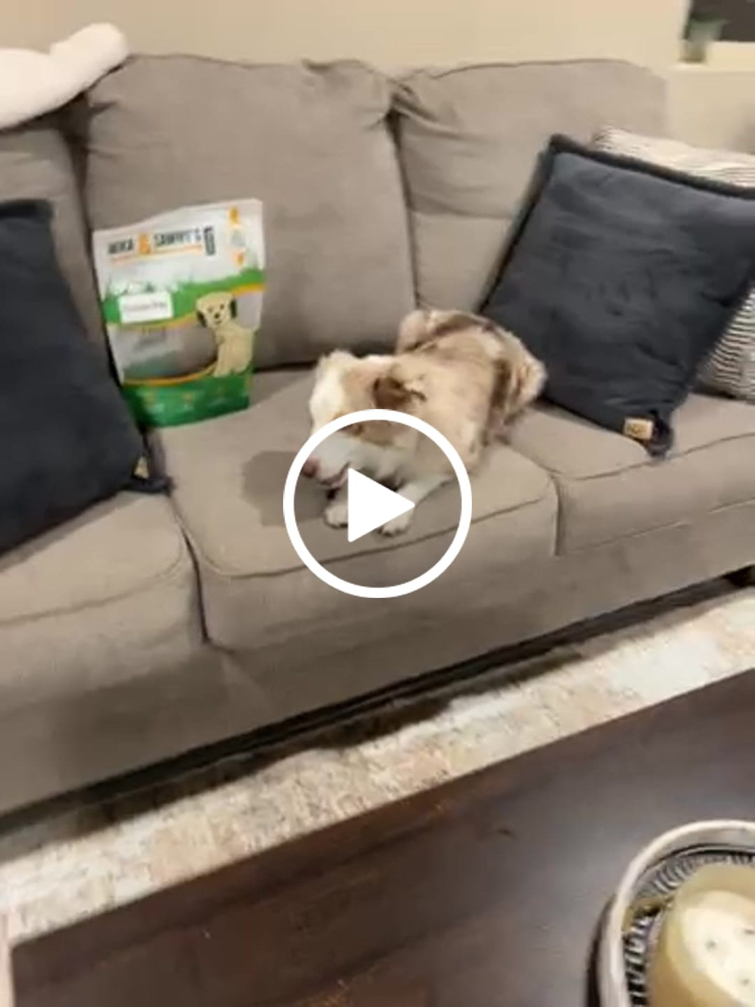 Customer video review of 1 LB Chew Pack