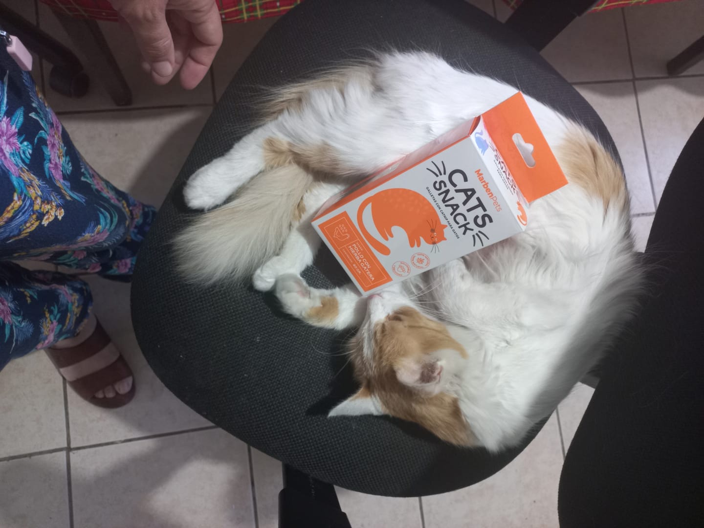 Customer photo review of Cats Snack Galleta Rellena Atún Hierba Gatera 80 GR