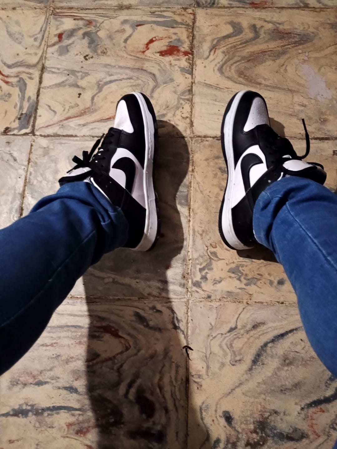 Customer photo review of Tenis Dunk Low Vaquita