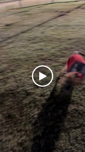 Customer video review of 2MBH Harness Exchanges