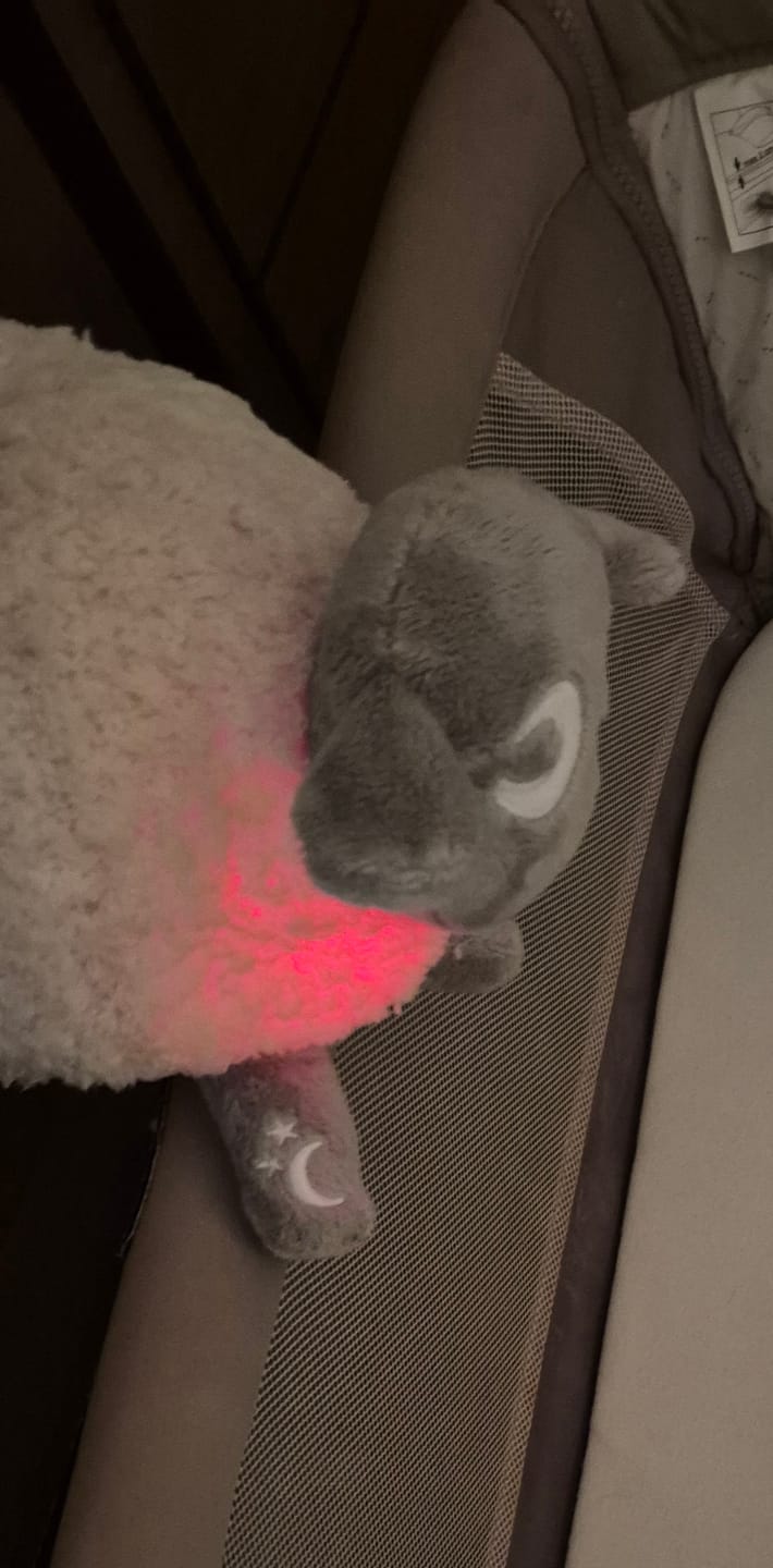 Customer photo review of ewan Deluxe | baby shushing sleep sheep | gray