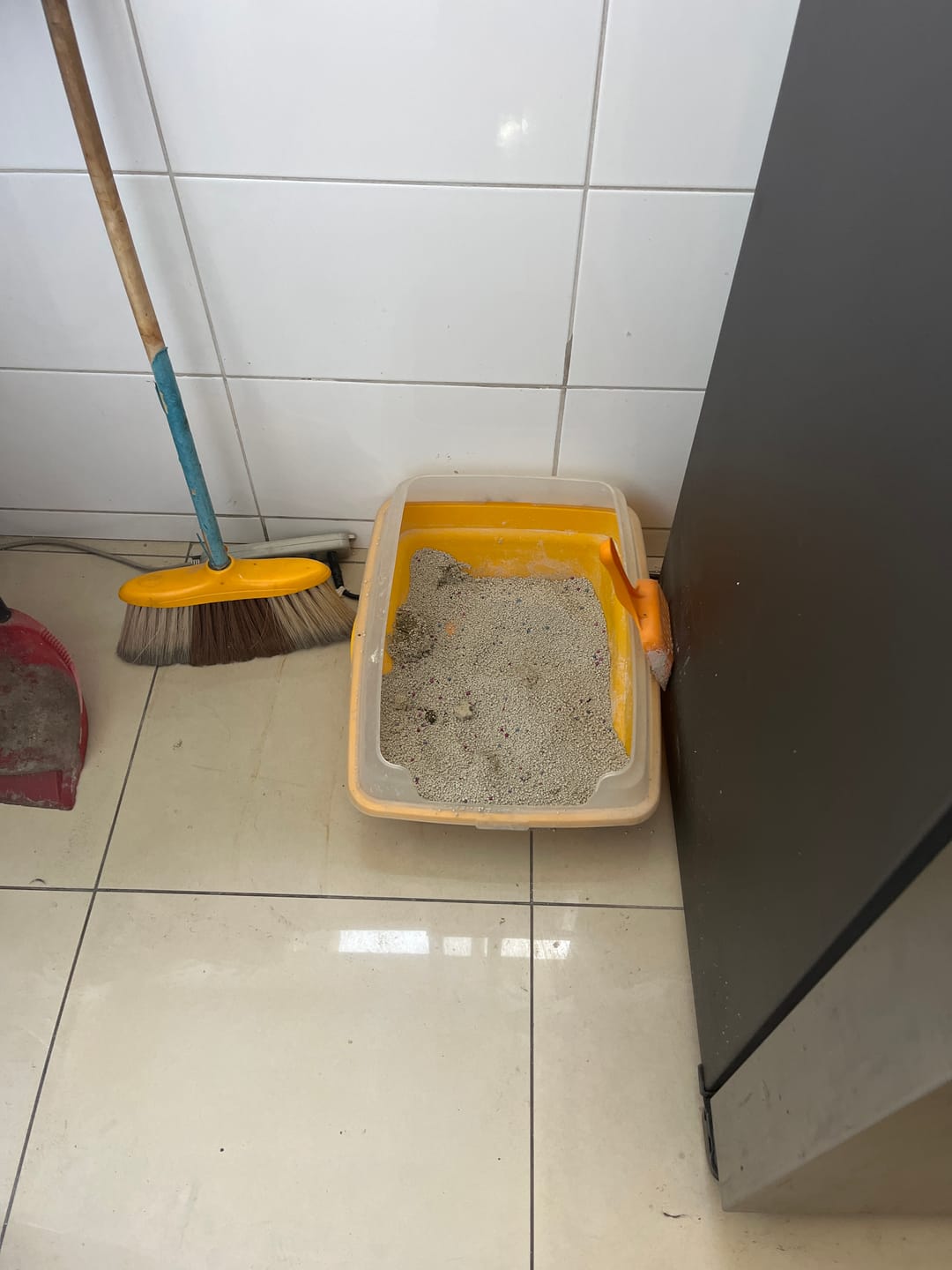 Customer photo review of Arena Minino Aglutinante 16kg