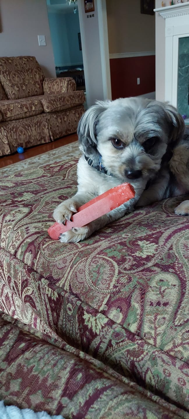 Customer photo review of Strawberry Himalayan Yak Chew (MEDIUM)