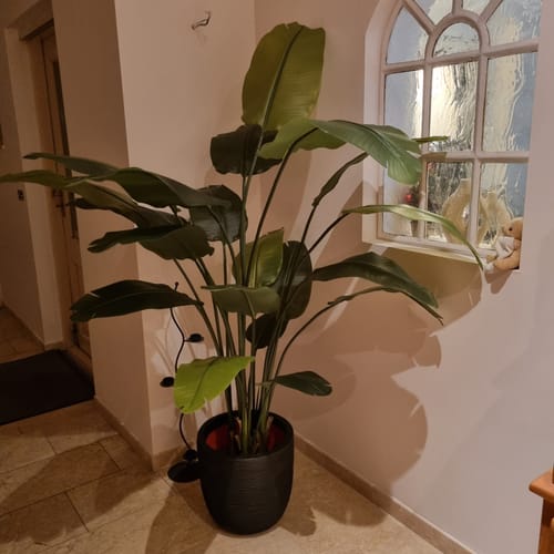 Customer photo review of 10 liter Frans Boomschors