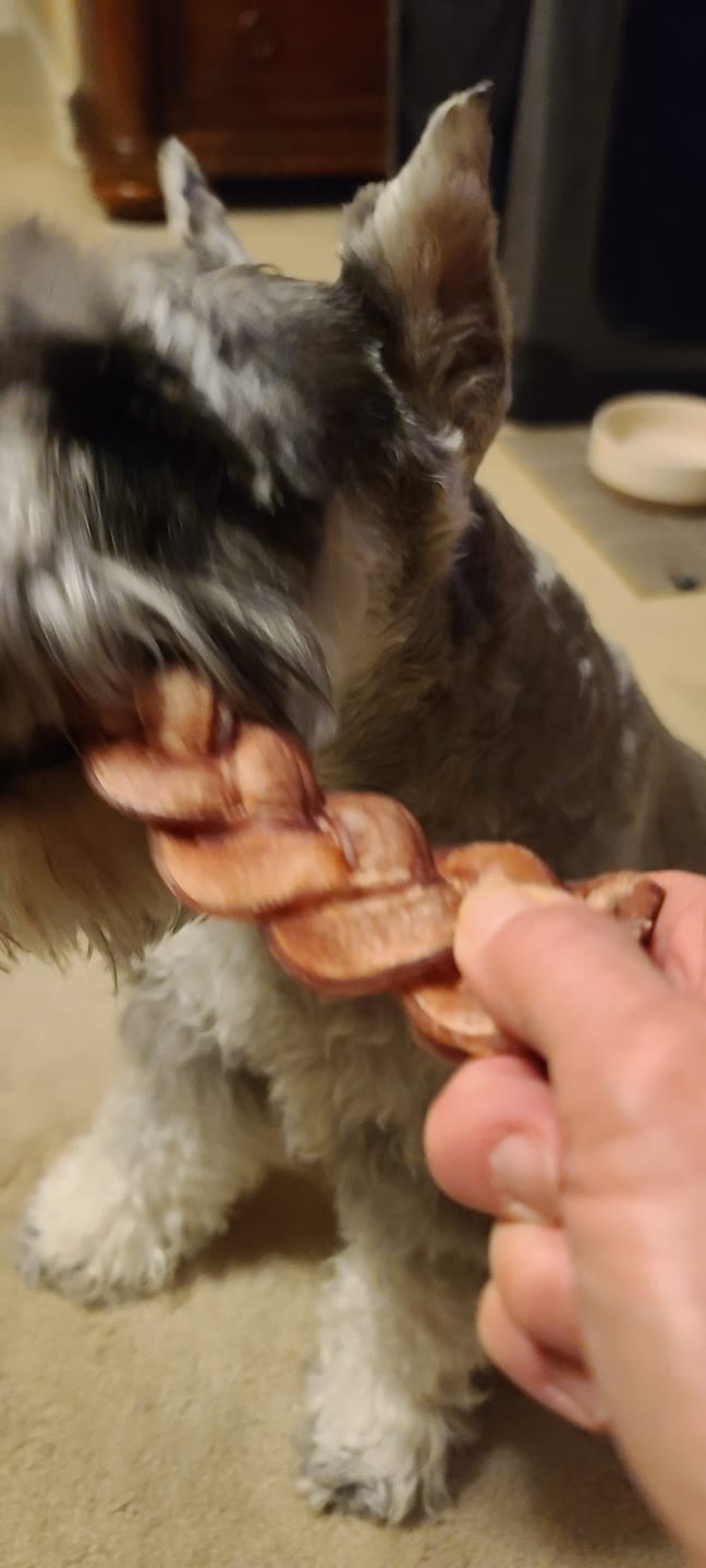 Customer photo review of Braided Bully Sticks - 6 Inch