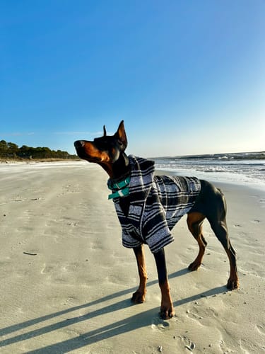 Customer photo review of Playa Poncho - Surprise Color