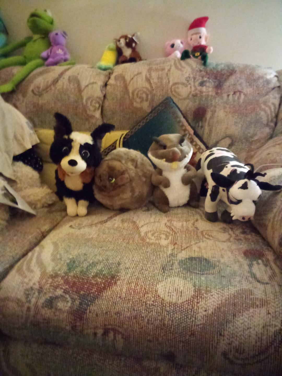Customer photo review of Thwap Plushie