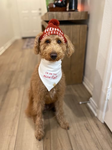 Customer photo review of Custom Saying Embroidered Bandana