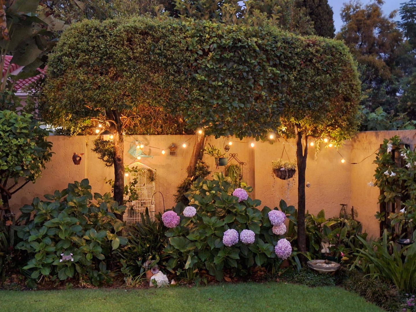 Customer photo review of Solar Mini Bulb String Lights - Black