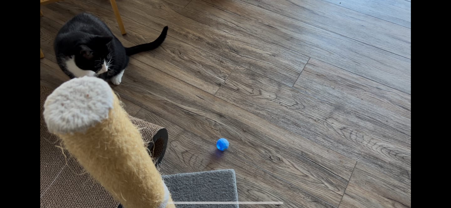 Customer photo review of POWER BALL 2.0