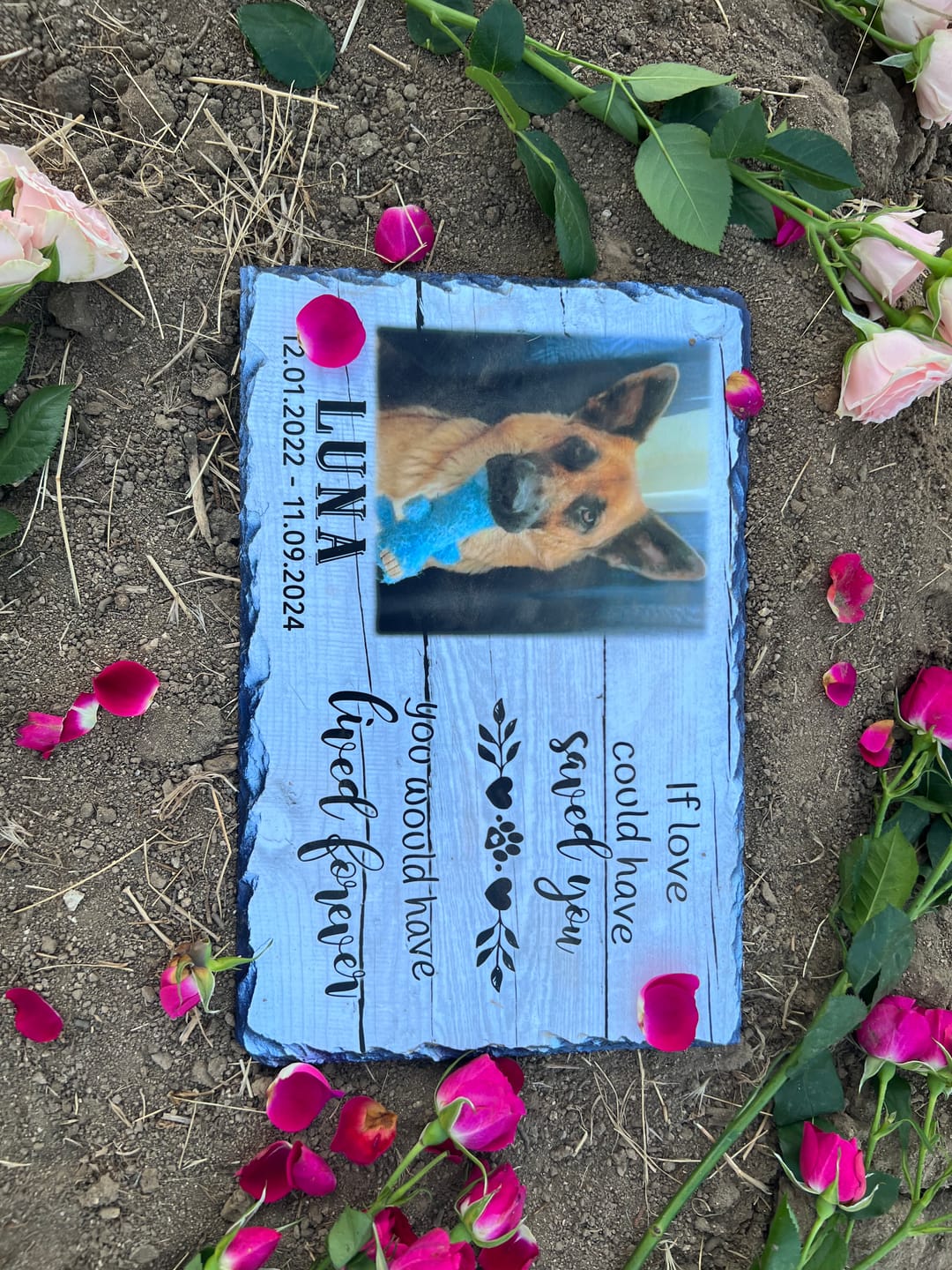 Customer photo review of Personalized Dog Memorial   If love alone could have kept you here  Personalized Picture Keepsake