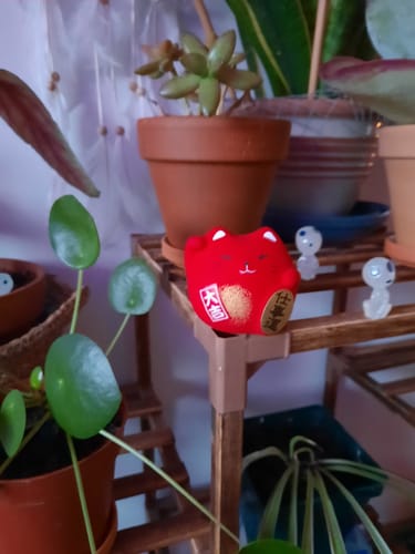 Customer photo review of Maneki Neko Rond Rouge