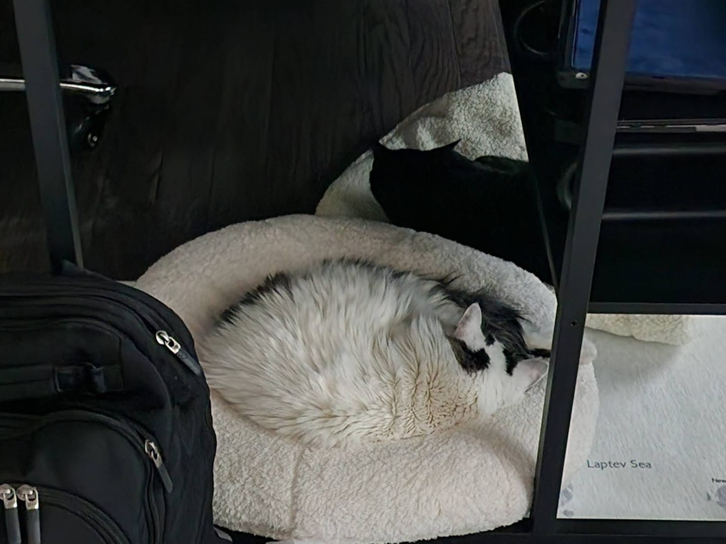 Customer photo review of Marshmallow Pudding Bed