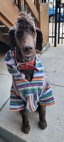 Customer photo review of Playa Poncho - Surprise Color