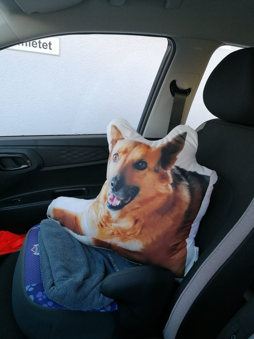 Customer photo review of Personalisiertes Hundekissen