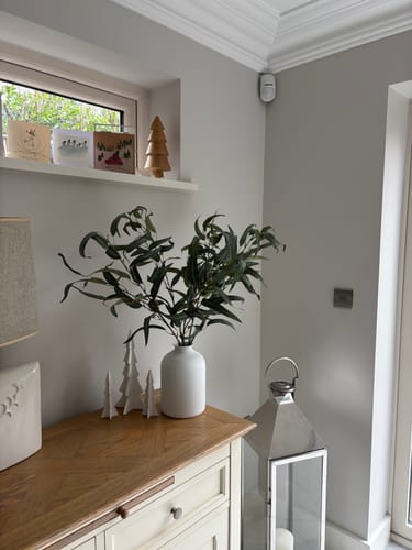 Customer photo review of Faux Willow Eucalyptus - Green (5 Stems)