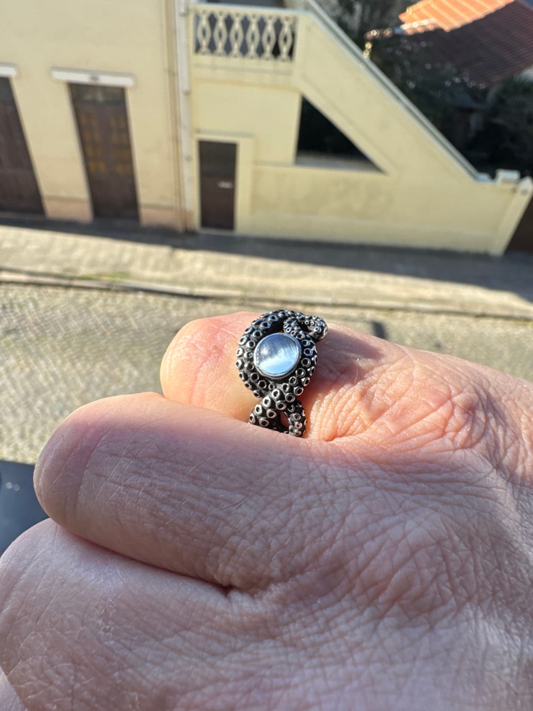 Customer photo review of OCEAN BLUE.