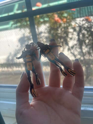 Customer photo review of Personalized Scuba Diving Partners / Couples Car Hanging Ornament