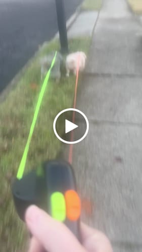 Customer video review of TangleFree