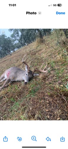 Customer photo review of Men's Alpaca Socks