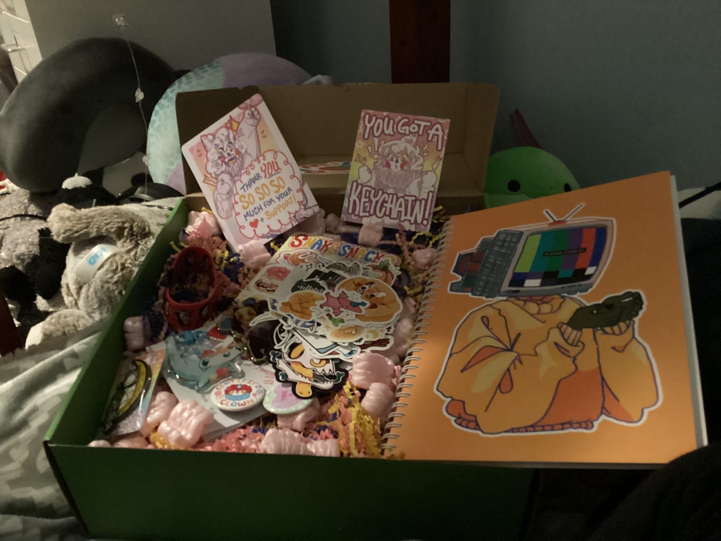 Customer photo review of Mystery Gift Box