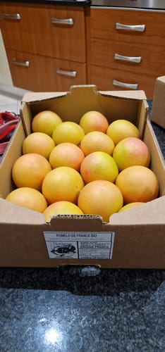 Christine B. review of Pomelos Bio - Origine Corse image 1 out of 3
