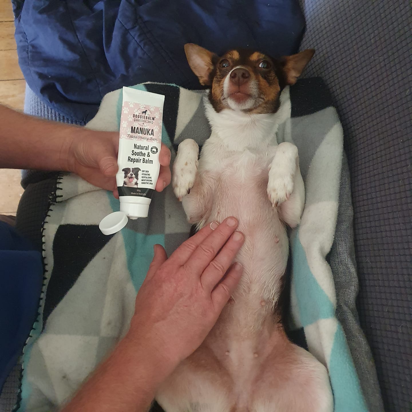 Customer photo review of DoggieBalm Manuka