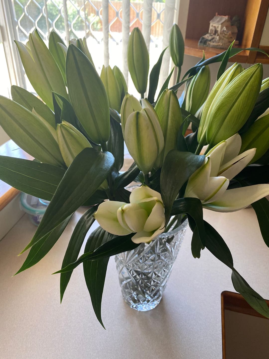 Customer photo review of White Oriental Lilies