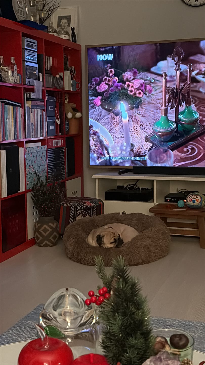 Customer photo review of Mellowpurr Huzurlu Paws Yatağı | Süper Yumuşak