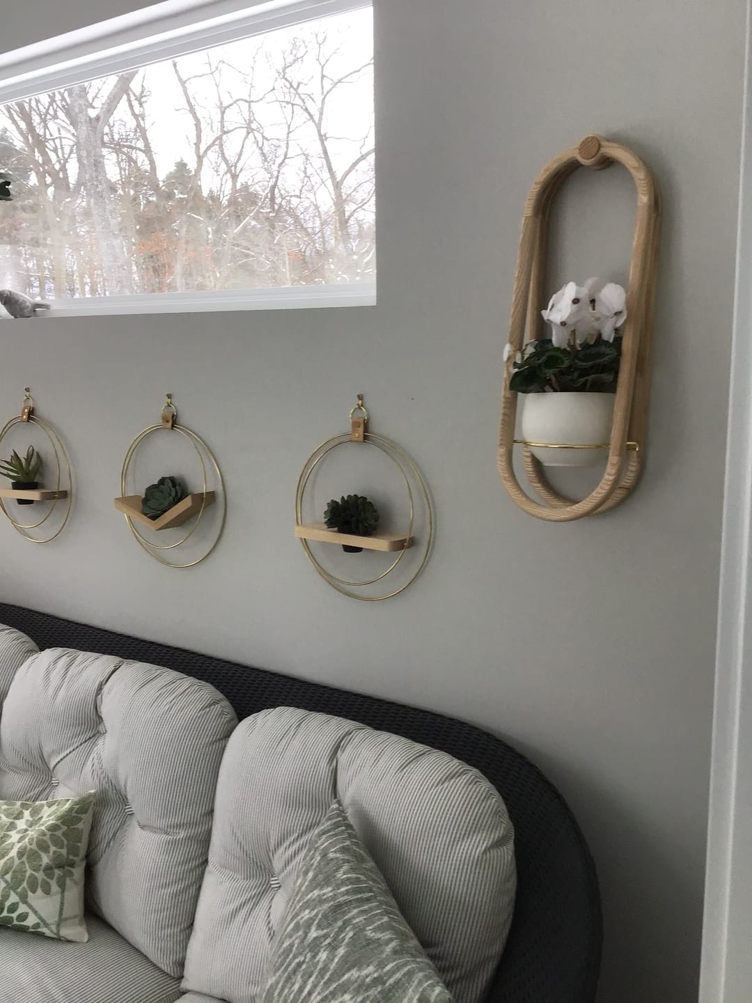 Customer photo review of Frame Wall Planter + Pot