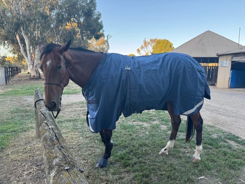 Maja C. review of Rambo Optimo Turnout 0g Outer Only image 1 out of 1