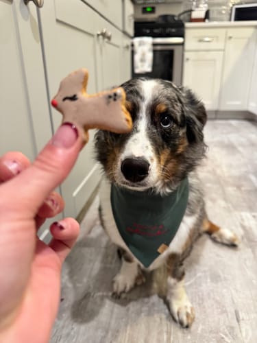 Customer photo review of Custom Saying Embroidered Bandana