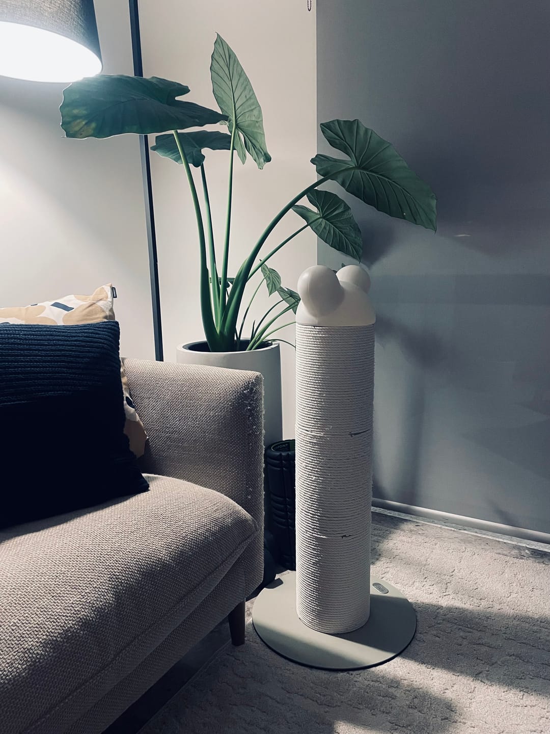 Customer photo review of Makesure Nino Cat Scratching Post | Cat Tree