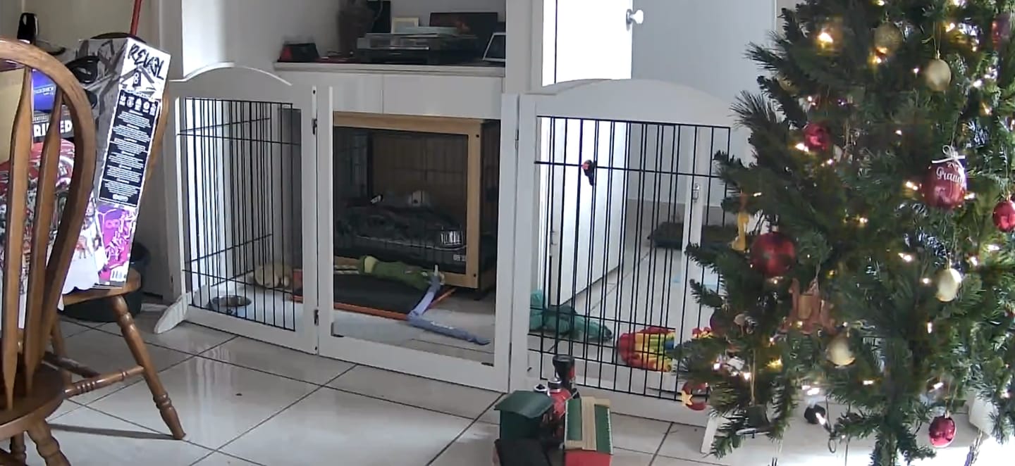 Customer photo review of PaWz 6 Panels Pet Playpen Pet Gate